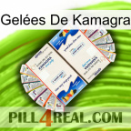 Gelées De Kamagra kamagra1